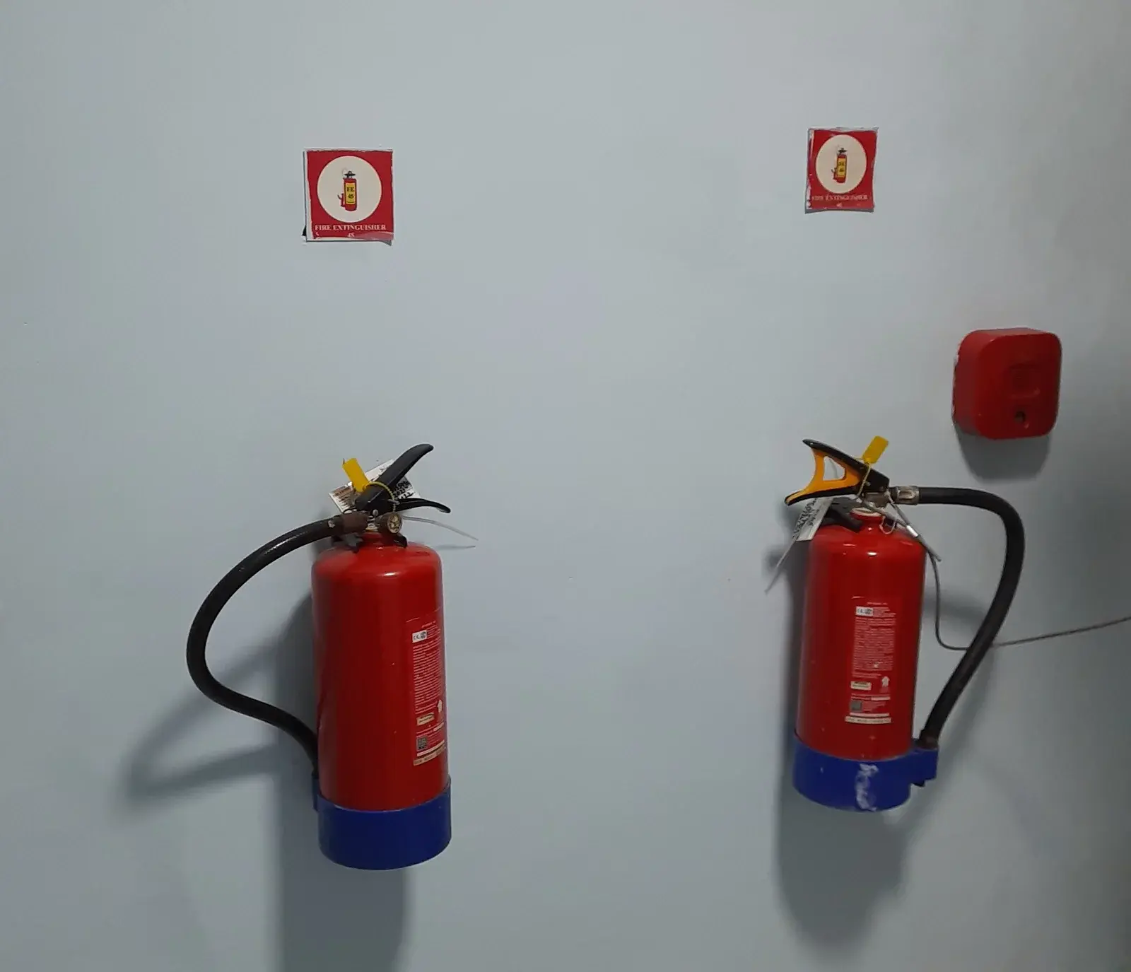Audit and survey field work — image 2